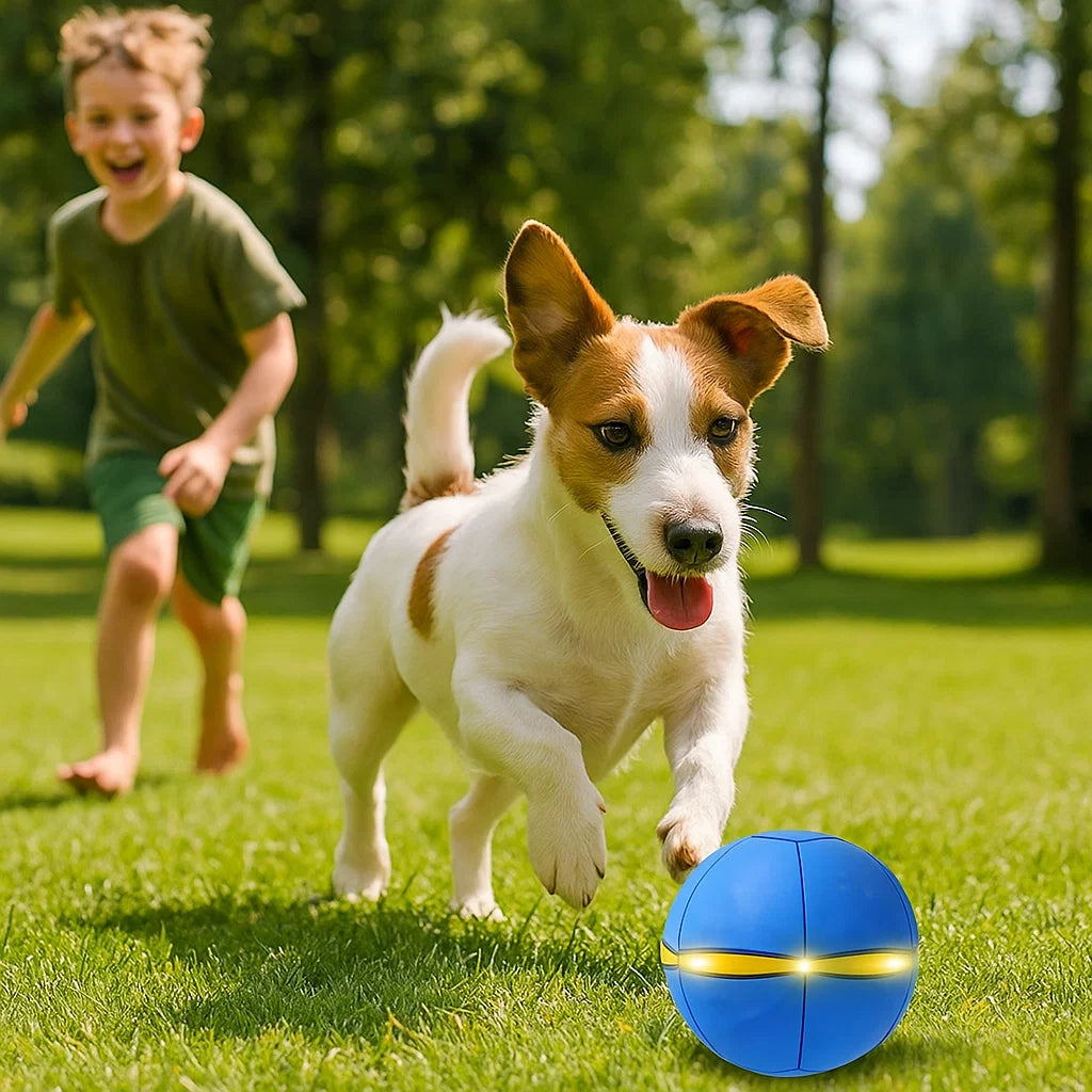 Hond speelt met FlexiPlay LED frisbee in het park