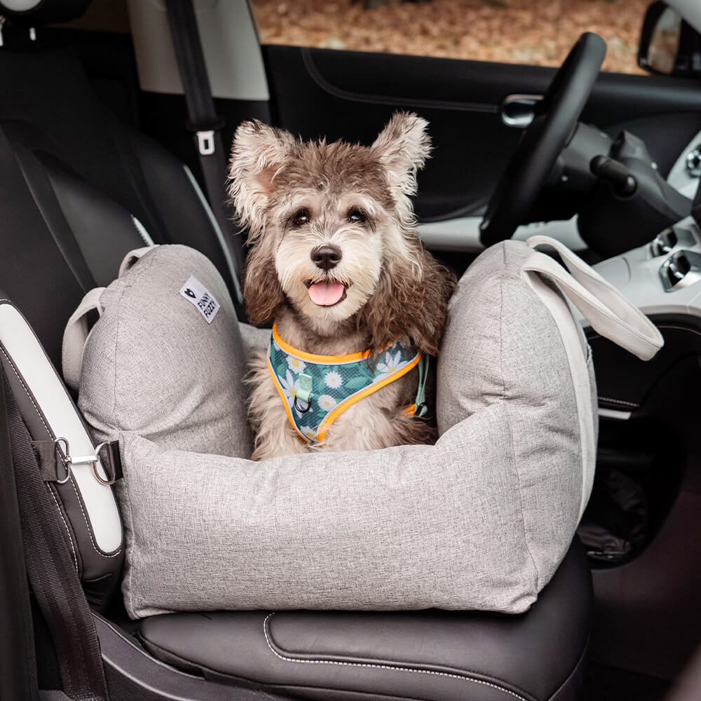 Comfortabel Hondenbed Voor Veilig Auto Reizen 🐾 14