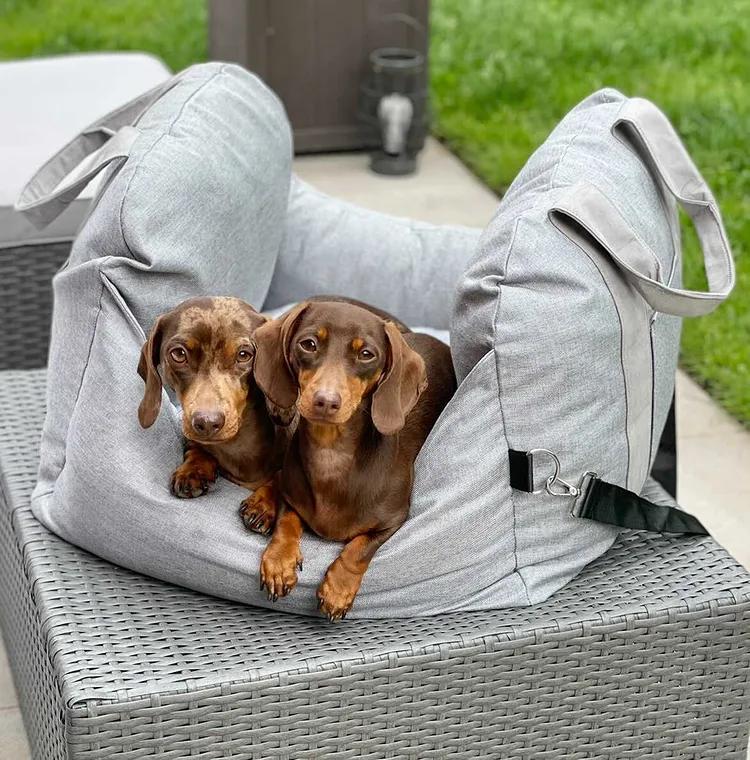 Comfortabel Hondenbed Voor Veilig Auto Reizen 🐾 8