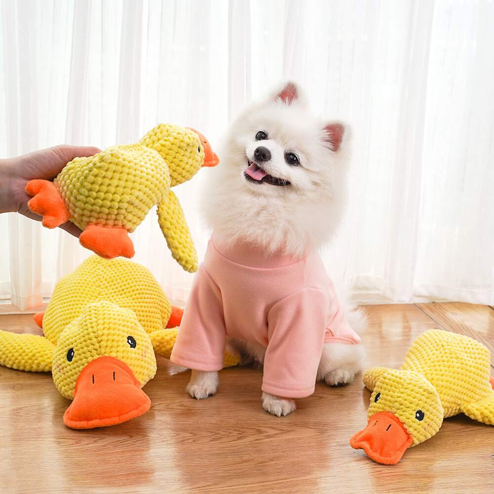 CalmDuck™ | Rust voor angstige honden