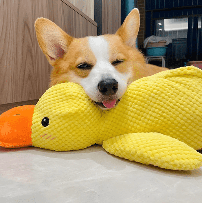 CalmDuck™ | Rust voor angstige honden