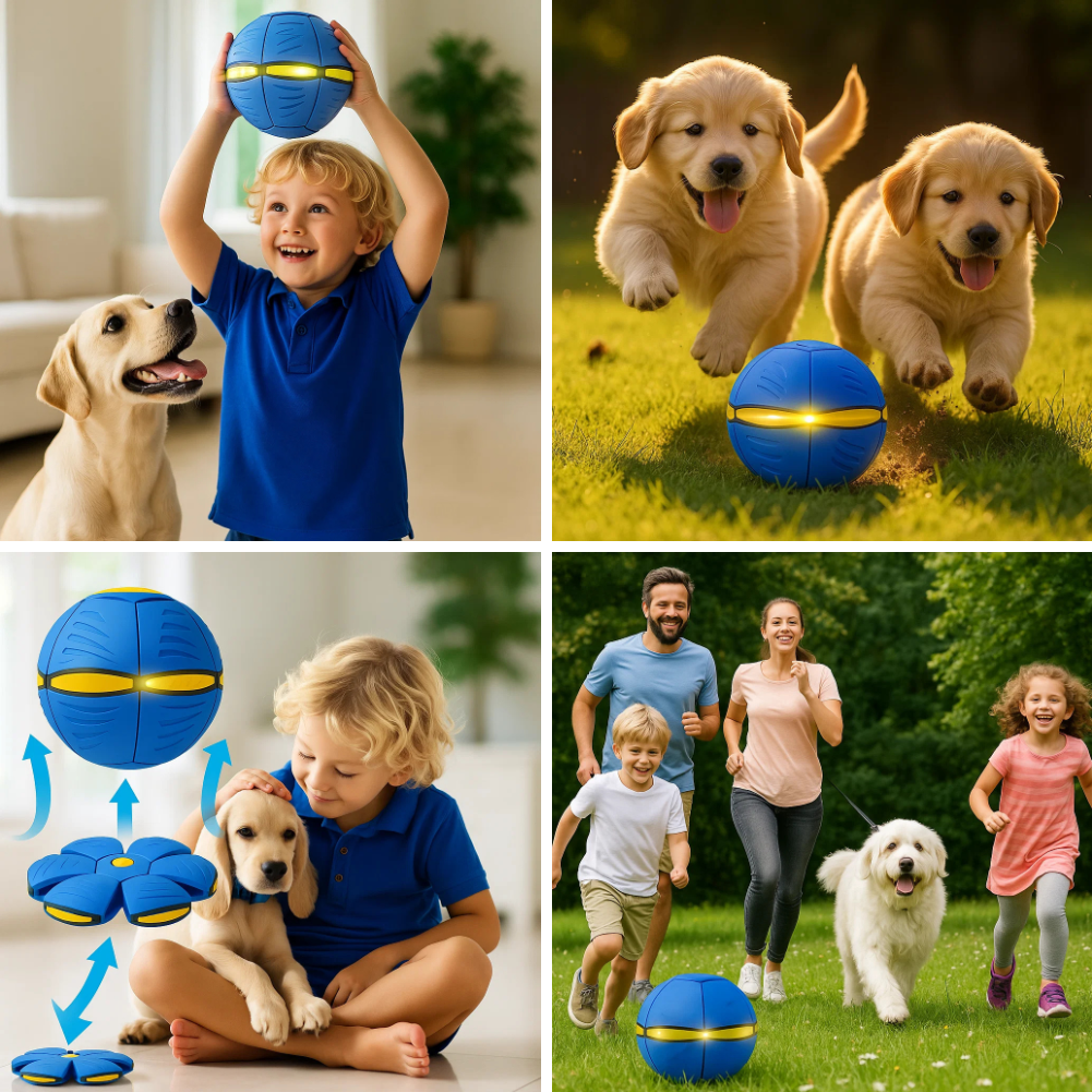 FlexiPlay™ | Van Frisbee Naar Bal Voor Eindeloos Speelplezier 🐾