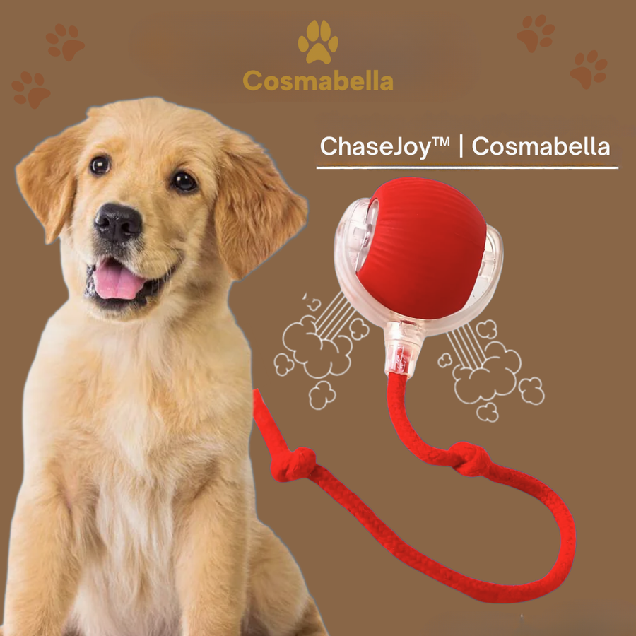 ChaseJoy | Interactive Pet Toy Ball with Smart Sensors & Auto-Movement | Engaging Playtime for Dogs and Cats 1
