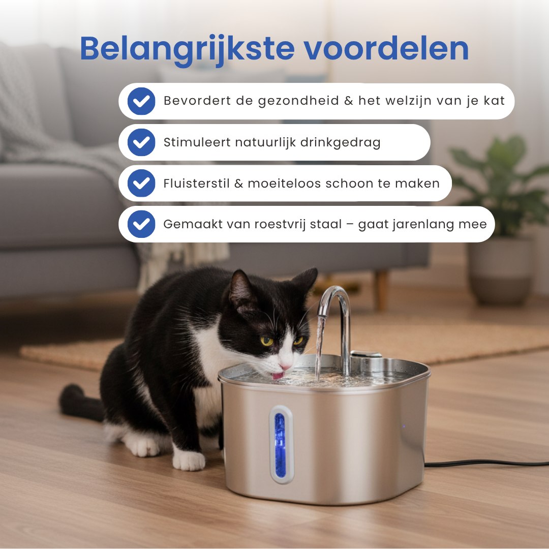 AquaWhisk | Cat Water Fountain with Whisper-Quiet Pump & Stainless Steel Design | Promotes Healthy Hydration 2