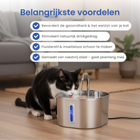 AquaWhisk | Cat Water Fountain with Whisper-Quiet Pump & Stainless Steel Design | Promotes Healthy Hydration 2