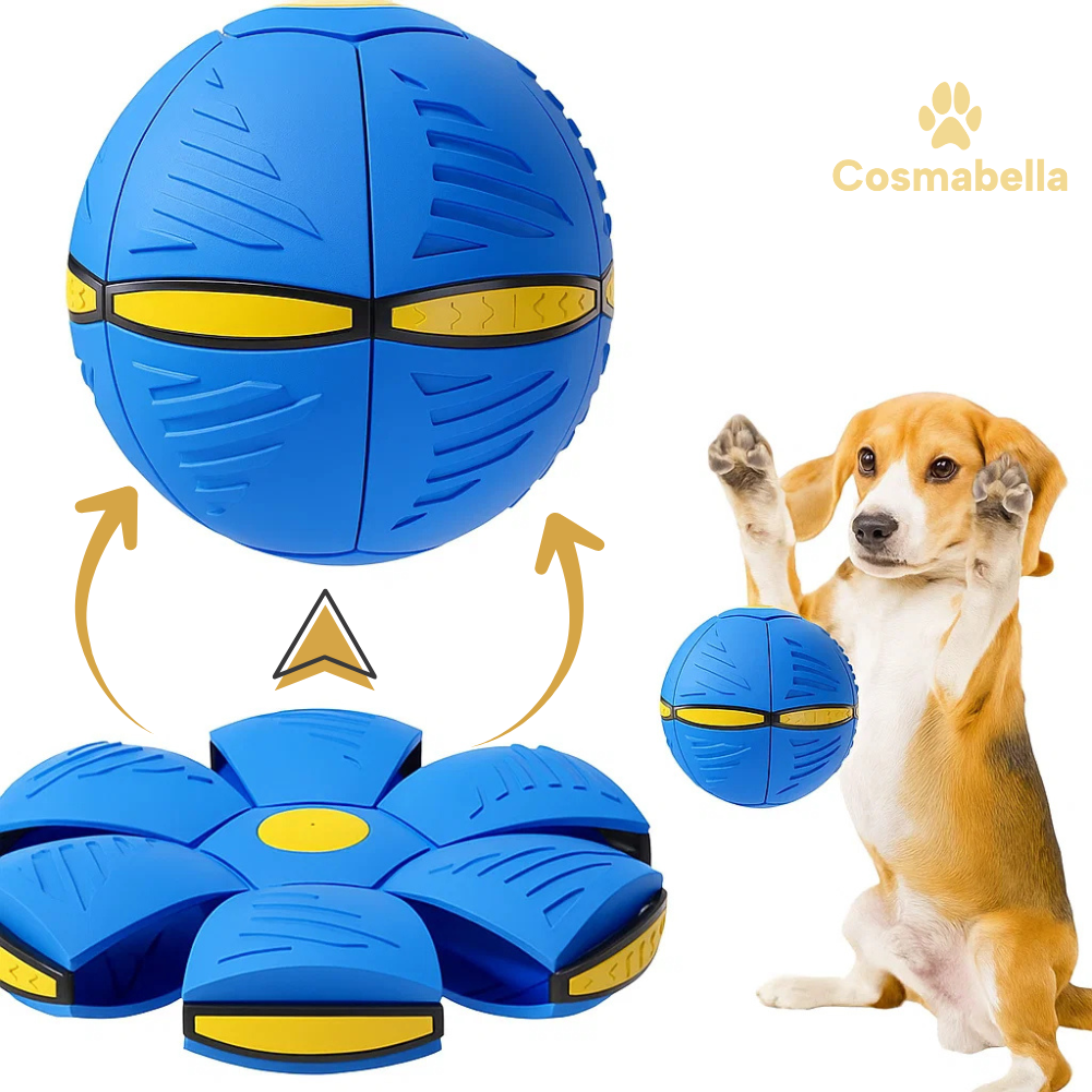 FlexiPlay transformeert van frisbee naar bal in één beweging