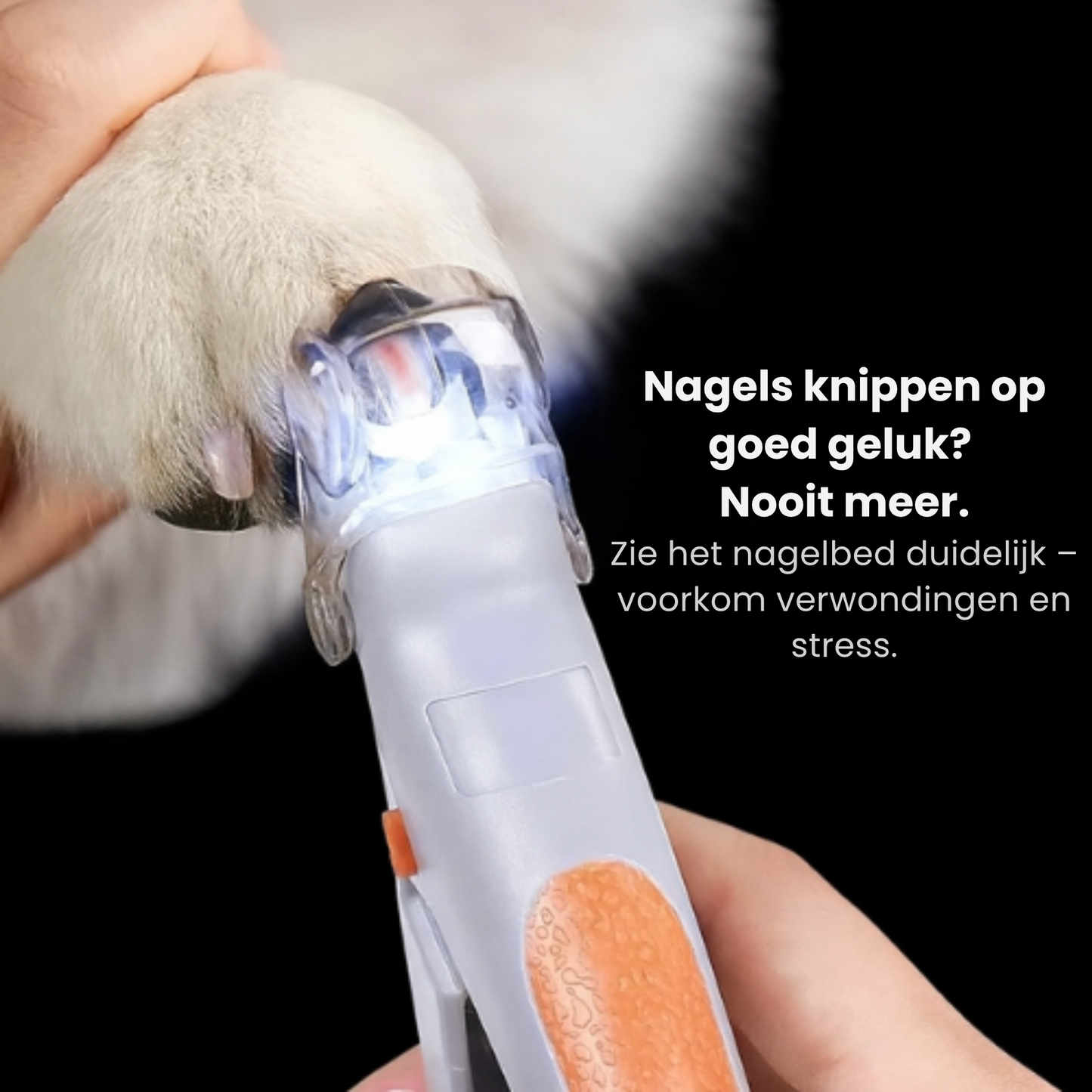 Veilige 2-in-1 Nageltrimmer met Dubbele LED-verlichting – Fluisterstil en Stressvrij voor Huisdieren - 2