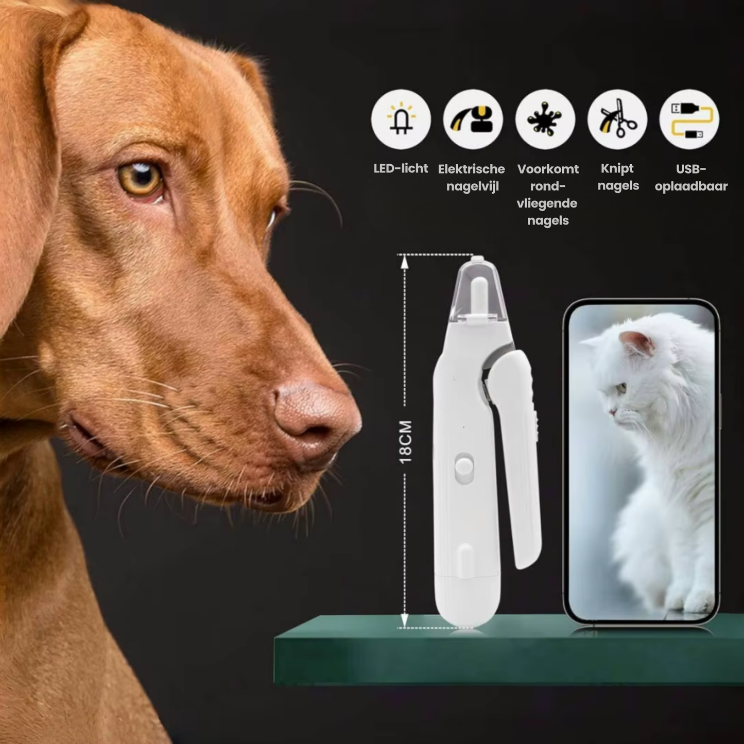 Veilige 2-in-1 Nageltrimmer met Dubbele LED-verlichting – Fluisterstil en Stressvrij voor Huisdieren - 4