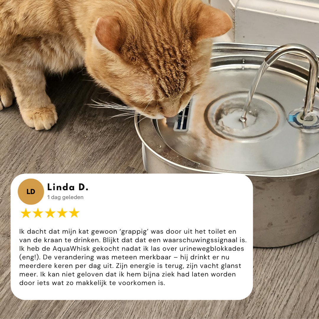 AquaWhisk Drinkfontein voor Katten – Roestvrij Staal, Fluisterstil, Vaatwasbestendig en Altijd Vers Water - 6
