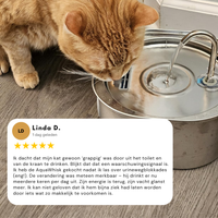 AquaWhisk | Cat Water Fountain with Whisper-Quiet Pump & Stainless Steel Design | Promotes Healthy Hydration 6