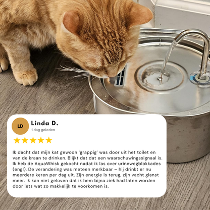 AquaWhisk Drinkfontein voor Katten – Roestvrij Staal, Fluisterstil, Vaatwasbestendig en Altijd Vers Water - 6