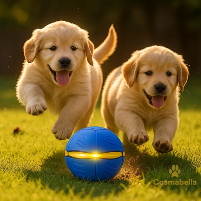 Hond speelt met FlexiPlay LED frisbee in het park