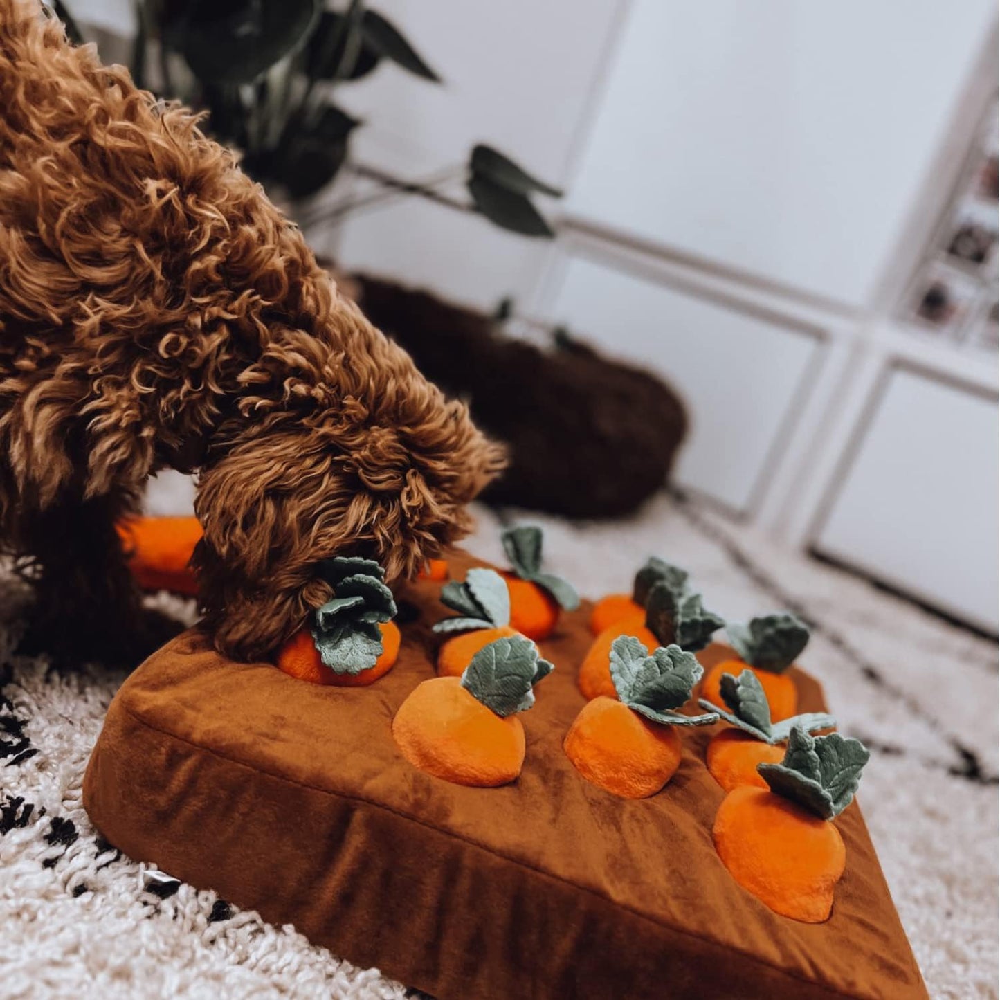 Wortel Snuffelmat Hondenspeelgoed - Mentaal Stimuleren