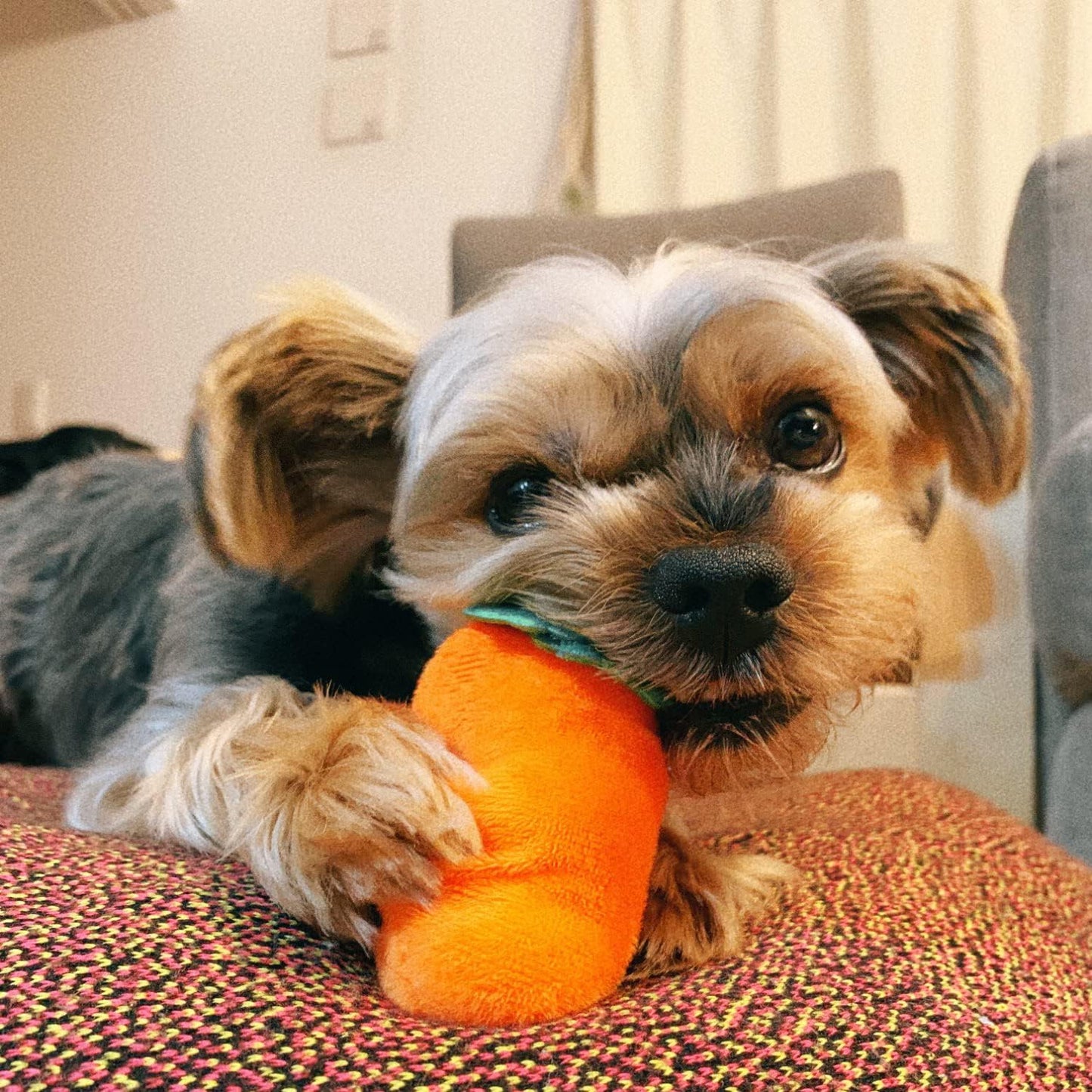 Wortel Snuffelmat Hondenspeelgoed - Mentaal Stimuleren