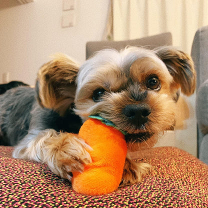 Wortel Snuffelmat Hondenspeelgoed - Mentaal Stimuleren