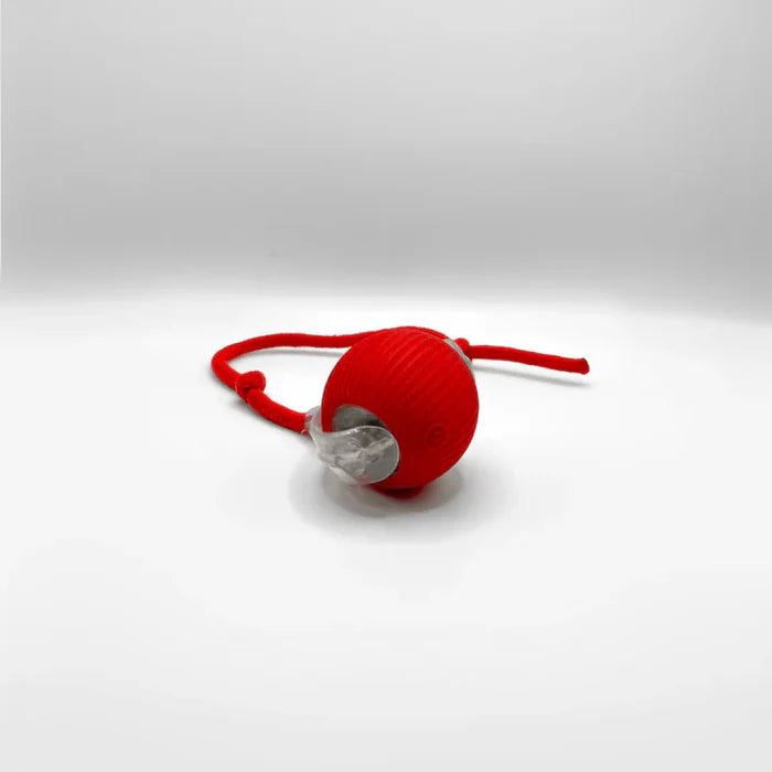 Chaseball™ - Versterk Speelplezier Voor Honden 🐾 0