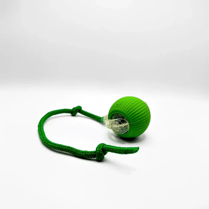 Chaseball™ - Versterk Speelplezier Voor Honden 🐾 6