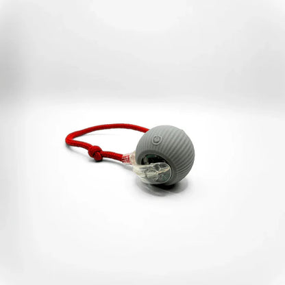 Chaseball™ - Versterk Speelplezier Voor Honden 🐾 7