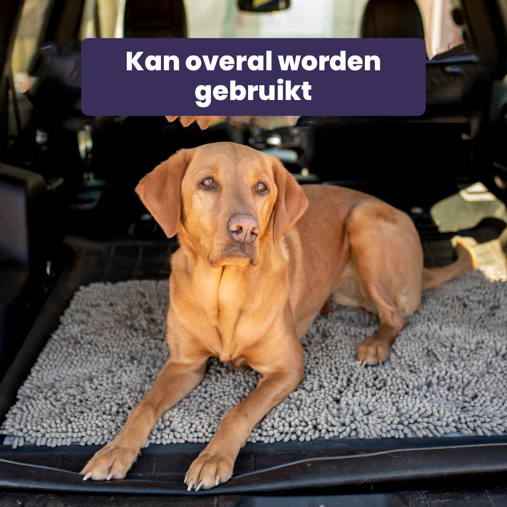 CleanPaw Mat | Honden Schoonloopmat Voor Schone Vloeren 4