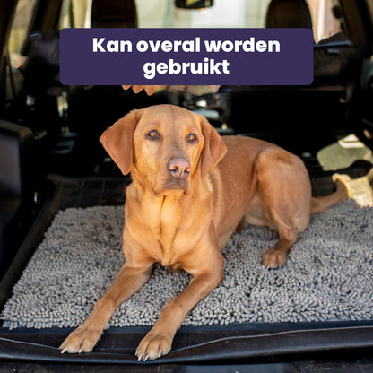 CleanPaw Mat | Honden Schoonloopmat Voor Schone Vloeren 4