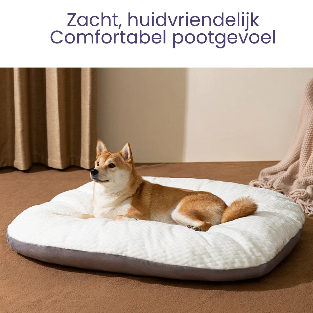 ComfortPaw – Wasbaar Groot Dik Hondenkussen met Antislip Basis voor Maximale Comfort 1