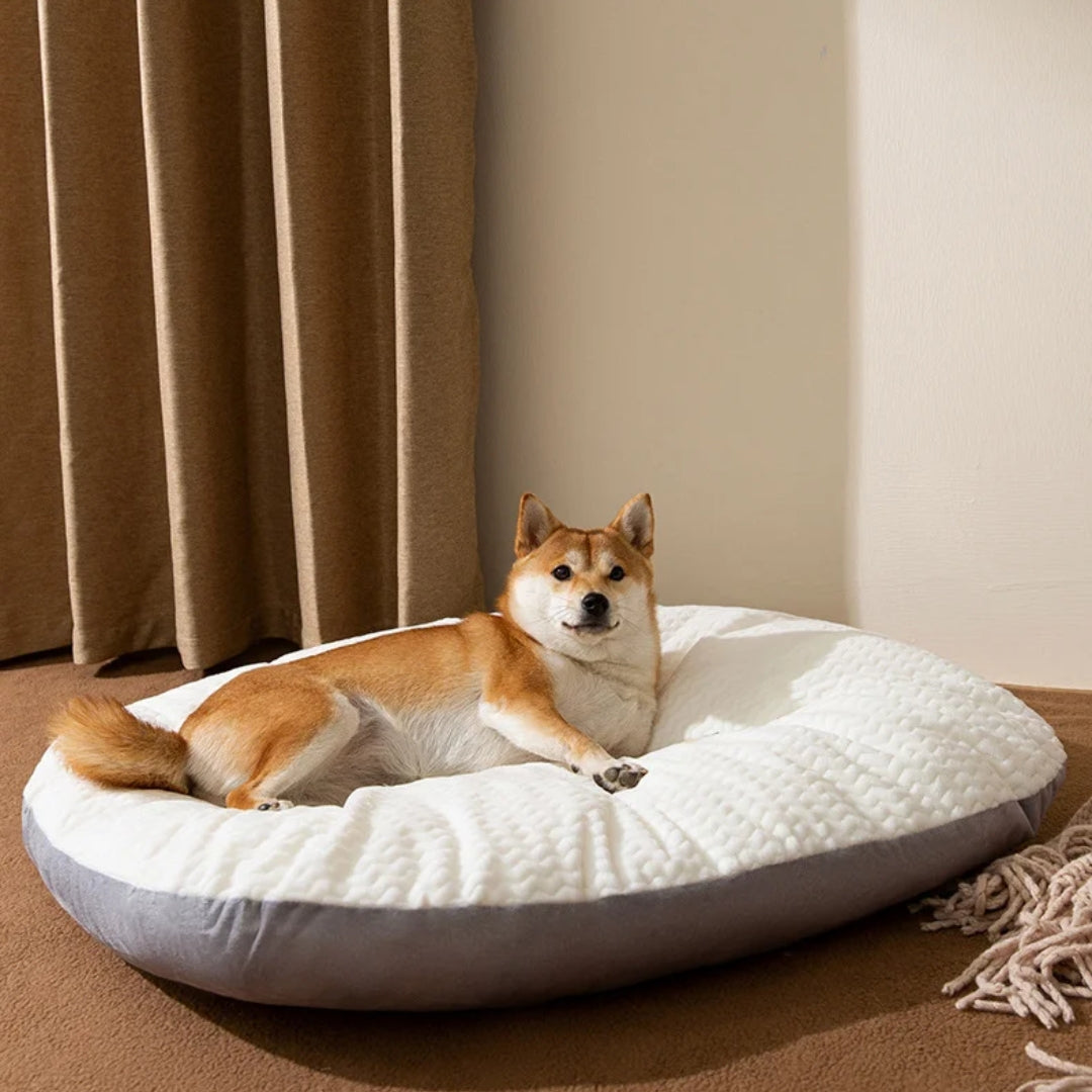 ComfortPaw – Wasbaar Groot Dik Hondenkussen met Antislip Basis voor Maximale Comfort 3