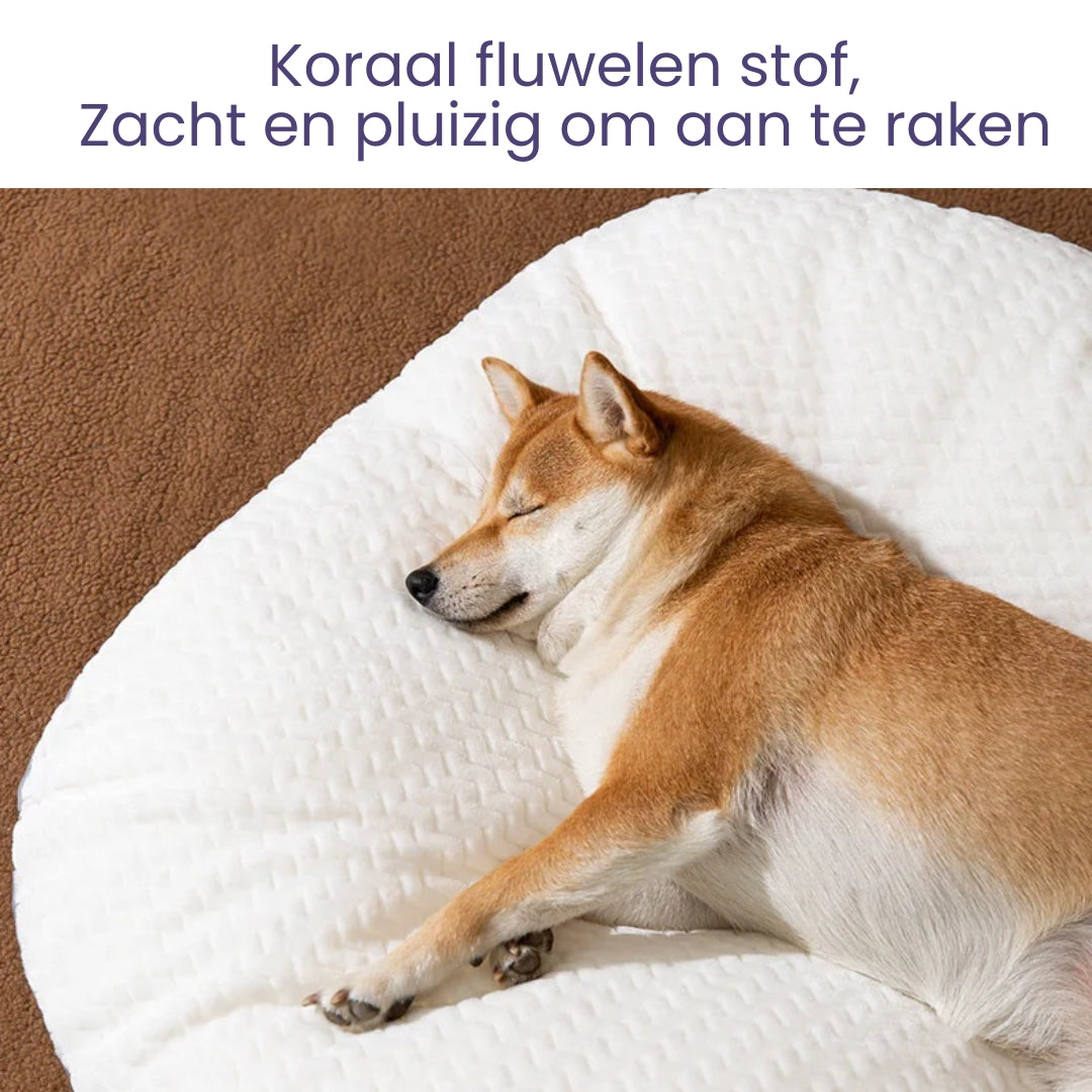 ComfortPaw – Wasbaar Groot Dik Hondenkussen met Antislip Basis voor Maximale Comfort 4