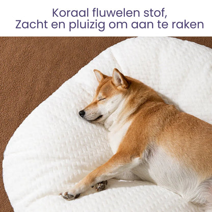 ComfortPaw – Wasbaar Groot Dik Hondenkussen met Antislip Basis voor Maximale Comfort 4