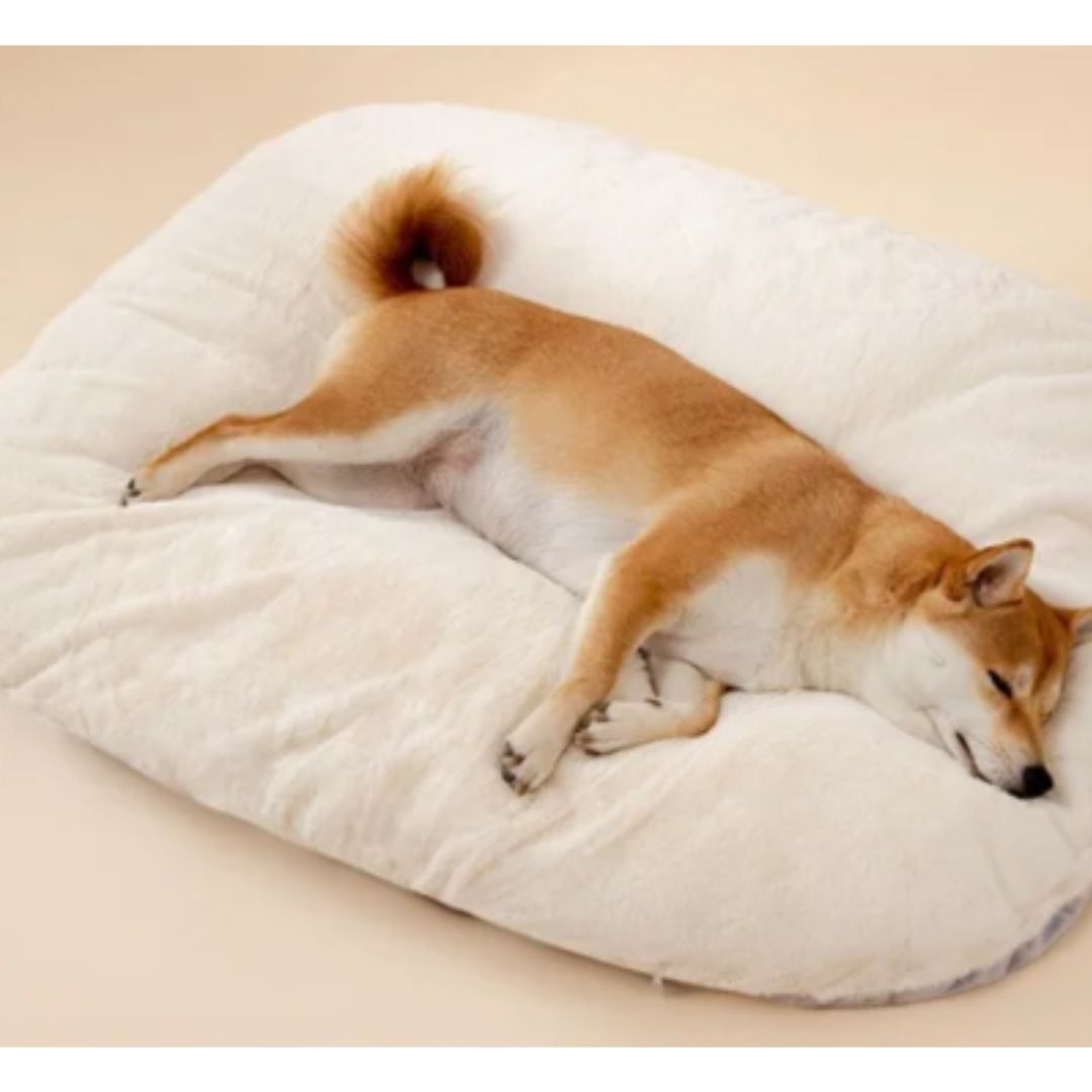 ComfortPaw – Wasbaar Groot Dik Hondenkussen met Antislip Basis voor Maximale Comfort 9