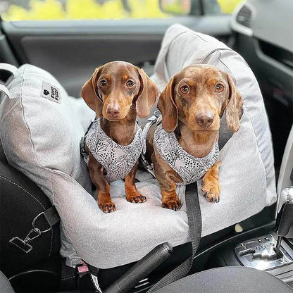 Comfortabel Hondenbed Voor Veilig Auto Reizen 🐾 1