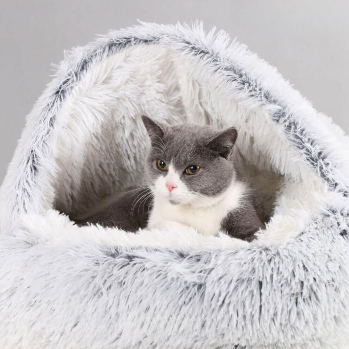 Comfortabel Huisdierbed Voor Honden En Katten - Ultiem Comfort 0