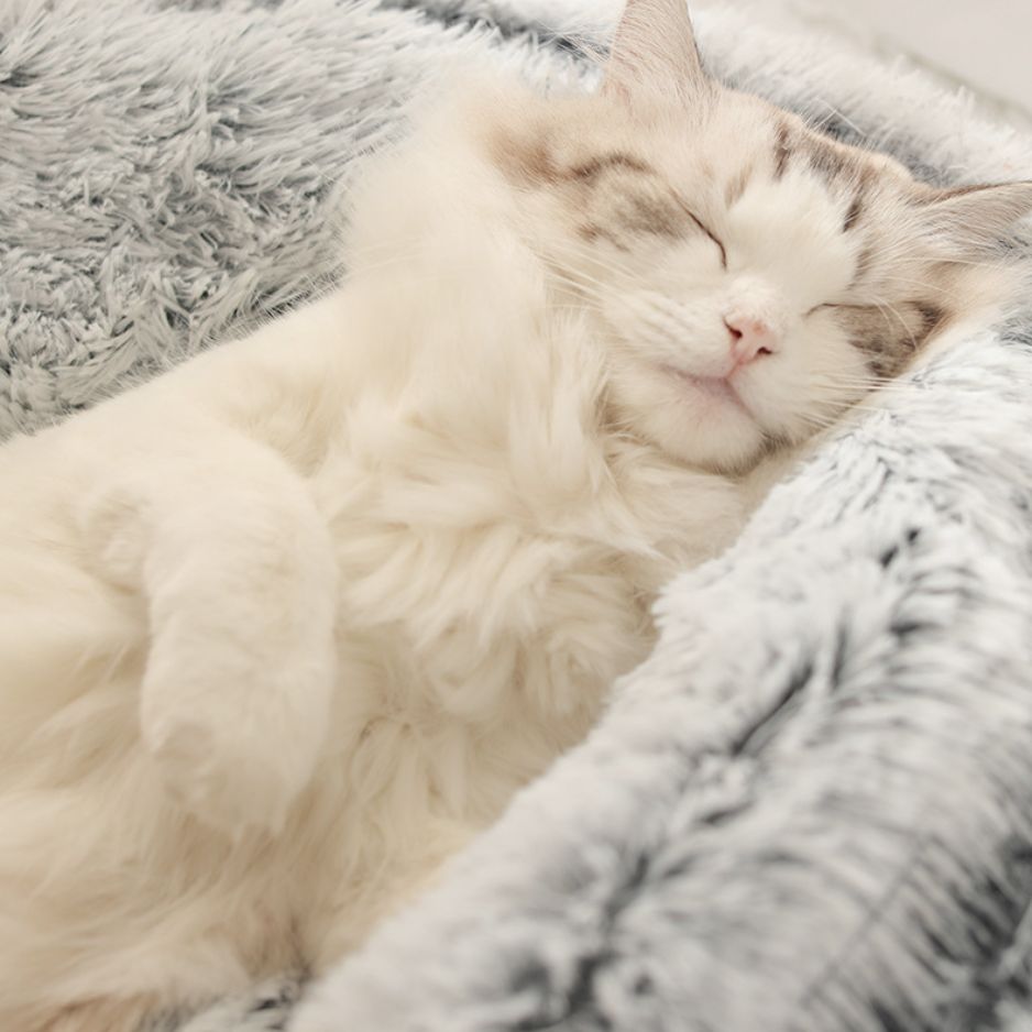 Comfortabel Huisdierbed Voor Honden En Katten - Ultiem Comfort 4