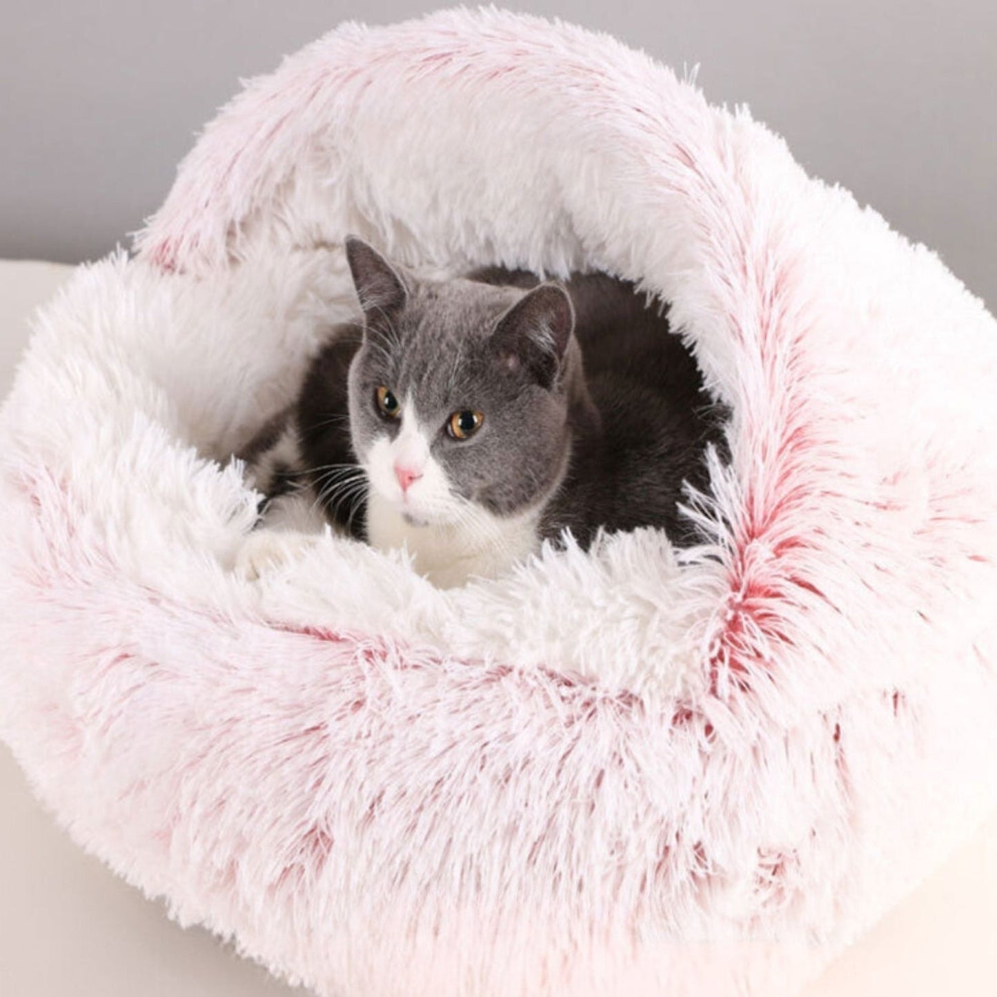 Comfortabel Huisdierbed Voor Honden En Katten - Ultiem Comfort 6