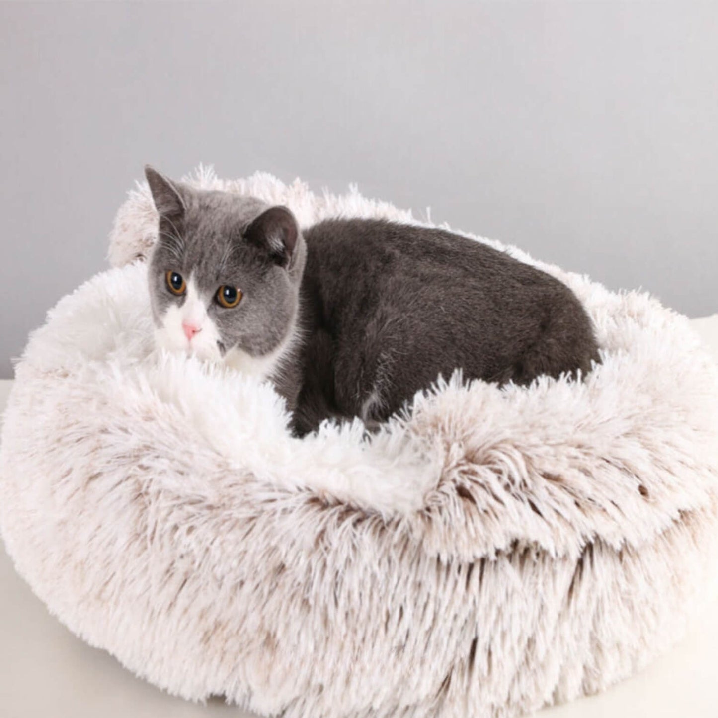 Comfortabel Huisdierbed Voor Honden En Katten - Ultiem Comfort 7