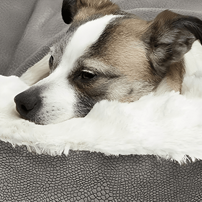 CuddleCave Huisdiermand Voor Ultiem Comfort 4