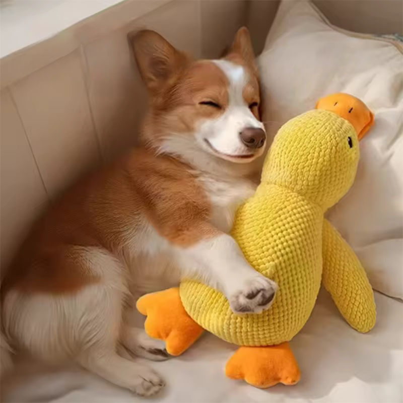 Kalmerende Hondenknuffel met Eendengeluiden – Zachte Pluche Trooster voor Angstige Honden - 2