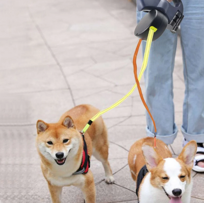 DuoLeash™ – Veilig Wandelen Met Twee Honden 🐾 4