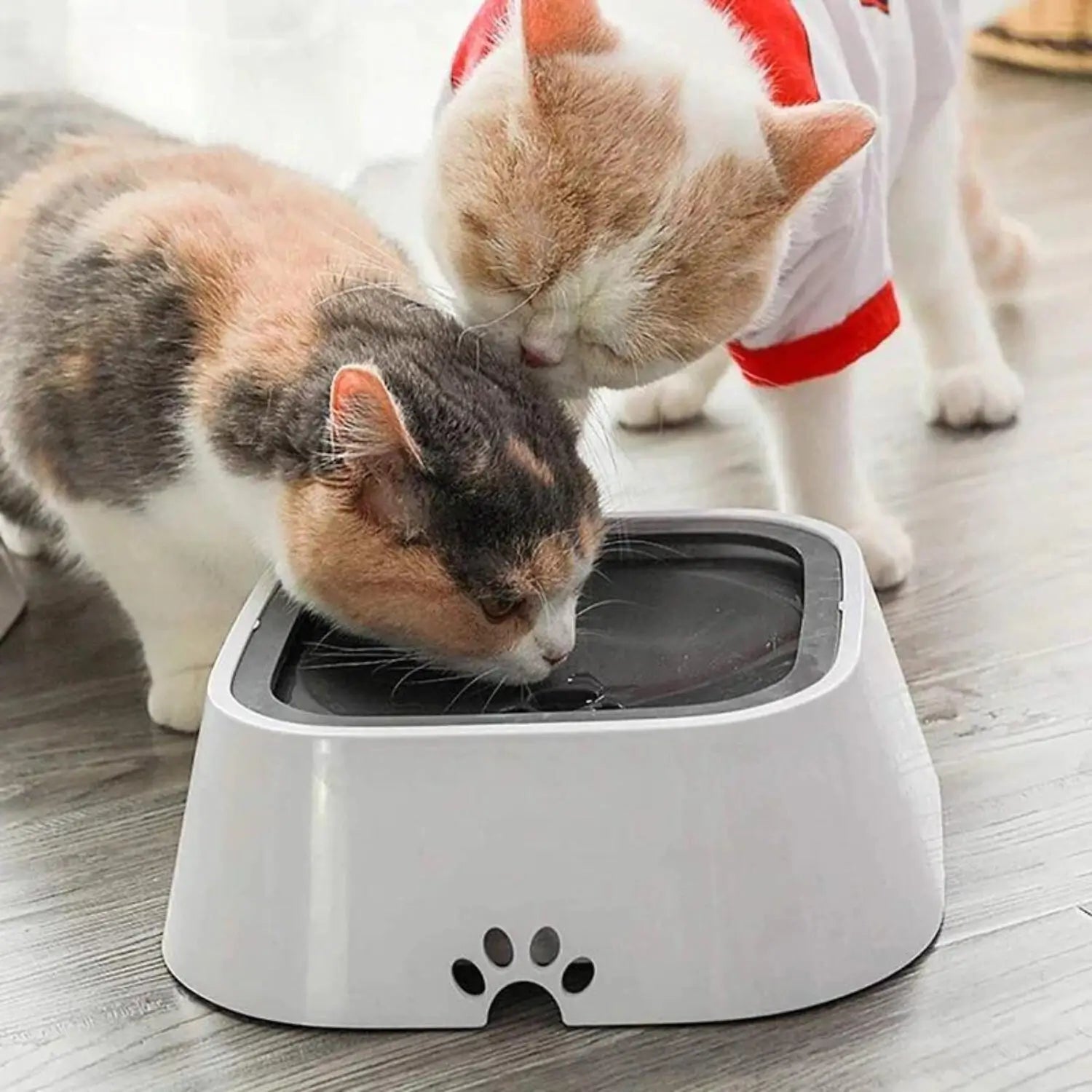Els Pet Anti-Spat Waterbak voor Honden en Katten - Droge Vloeren 2