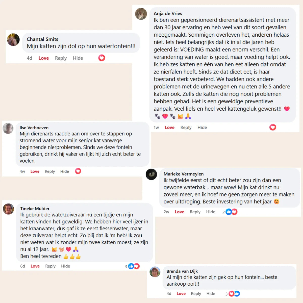 AquaWhisk Drinkfontein voor Katten – Roestvrij Staal, Fluisterstil, Vaatwasbestendig en Altijd Vers Water - 7