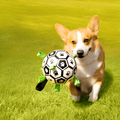 FlappyBall Hondenbal - Duurzaam Speelgoed Voor Plezier 1