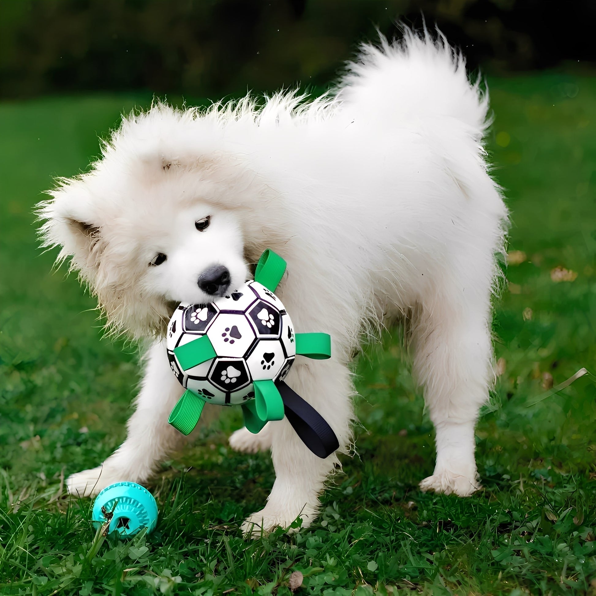 FlappyBall Hondenbal - Duurzaam Speelgoed Voor Plezier 2