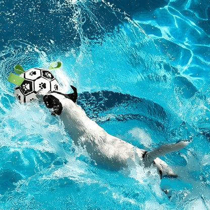 FlappyBall Hondenbal - Duurzaam Speelgoed Voor Plezier 3