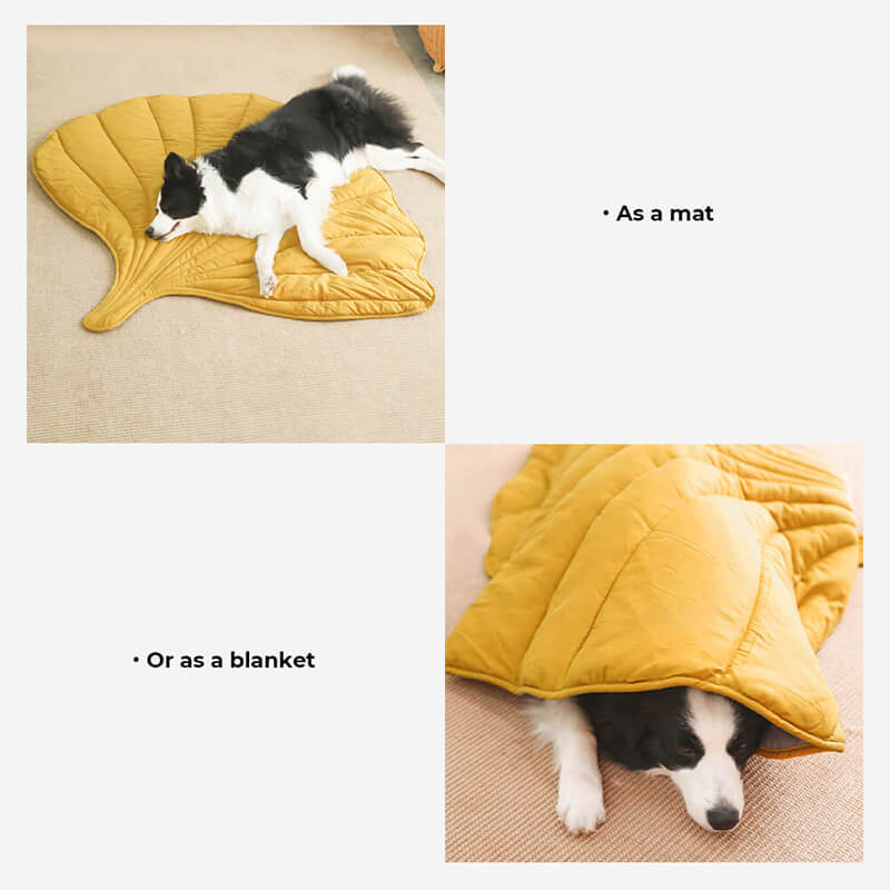 FunnyFuzzy Hondenmat - Comfortabele Rustplek voor Honden 3