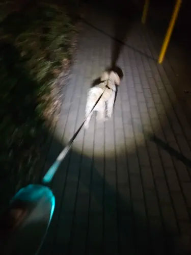 GlowLeash™ LED Hondenriem voor Veilige Avondwandelingen 6