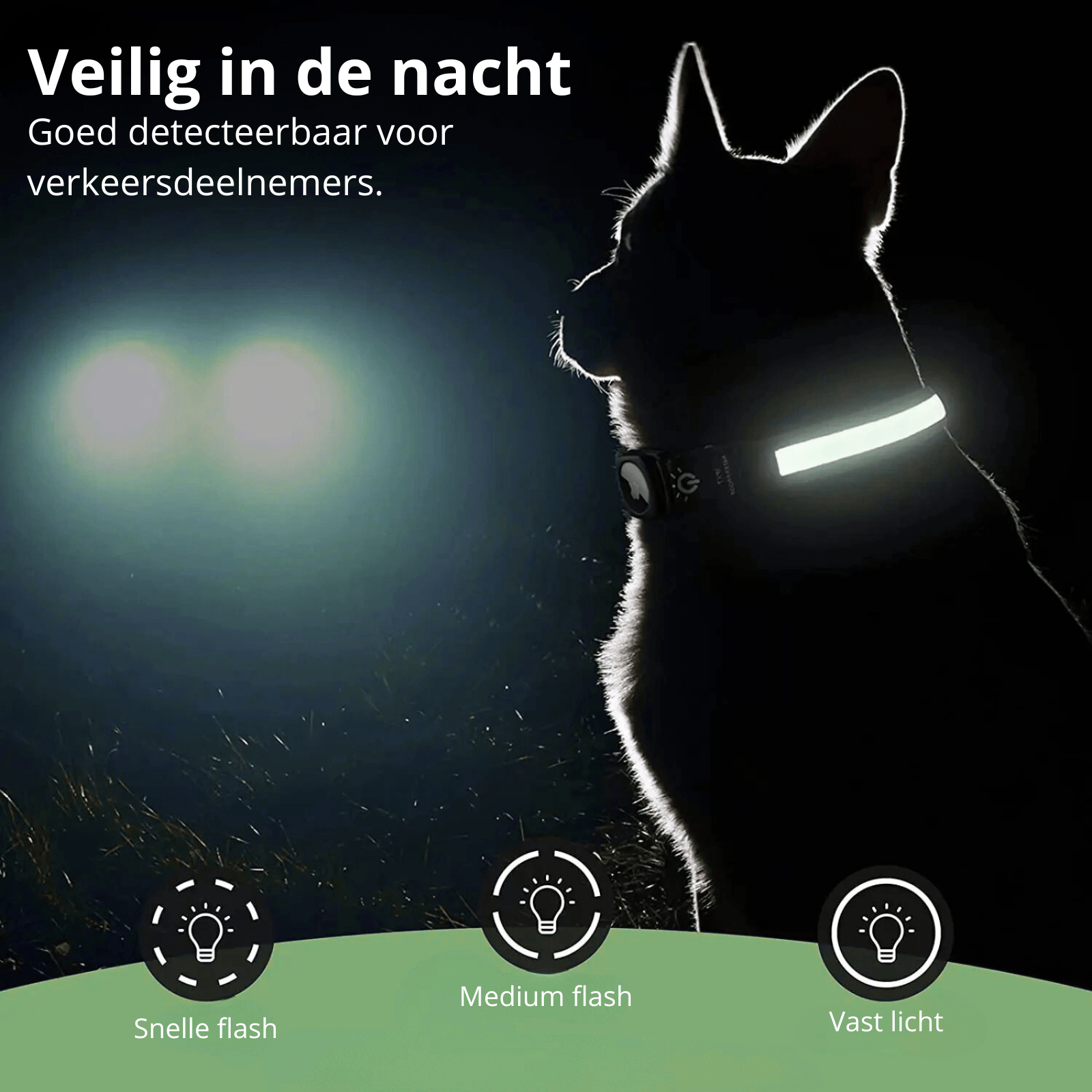 GlowTrack GPS Hondenhalsband voor Veiligheid en Zichtbaarheid 2