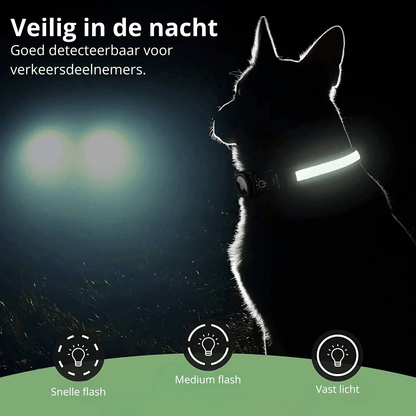 GlowTrack GPS Hondenhalsband voor Veiligheid en Zichtbaarheid 2