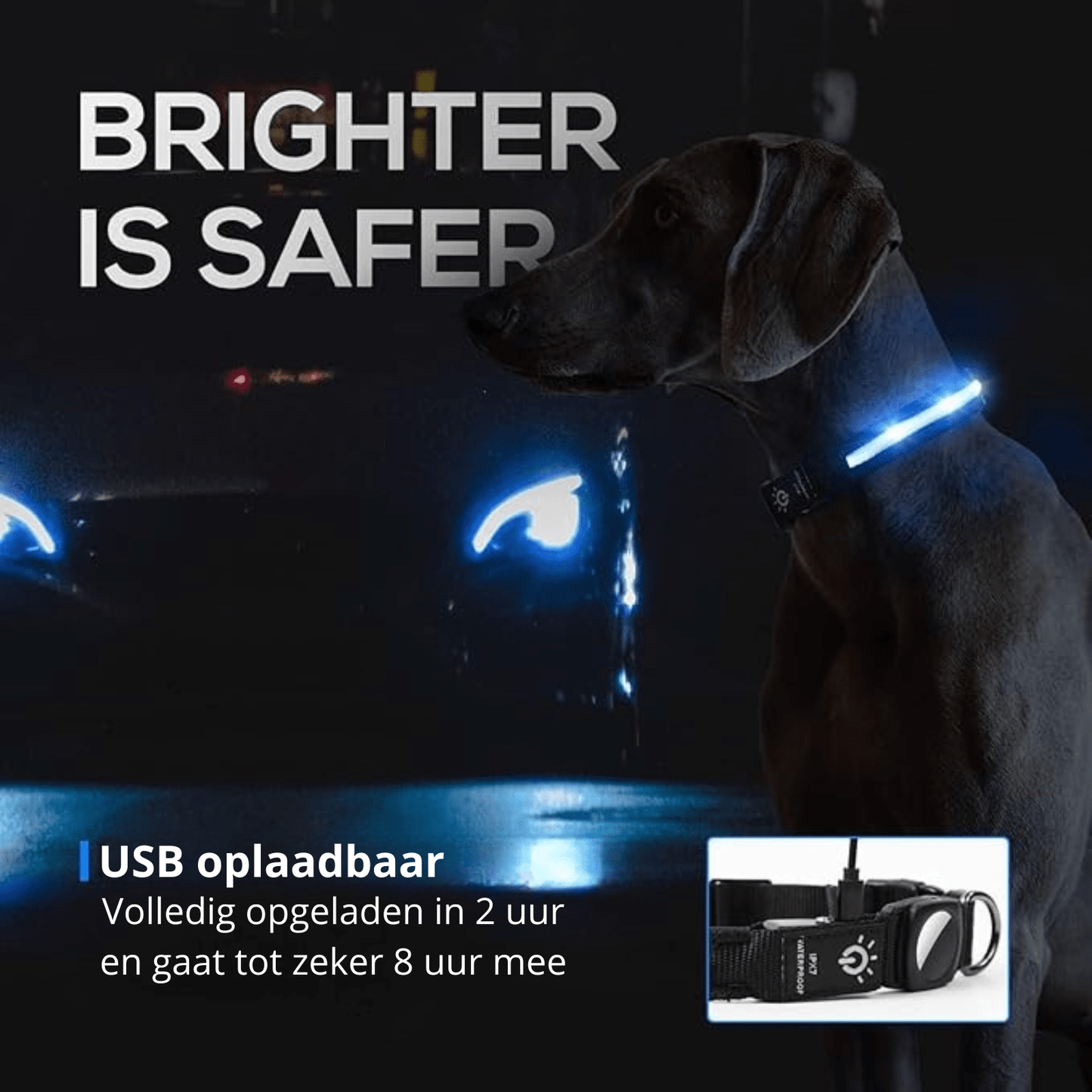 GlowTrack GPS Hondenhalsband voor Veiligheid en Zichtbaarheid 3