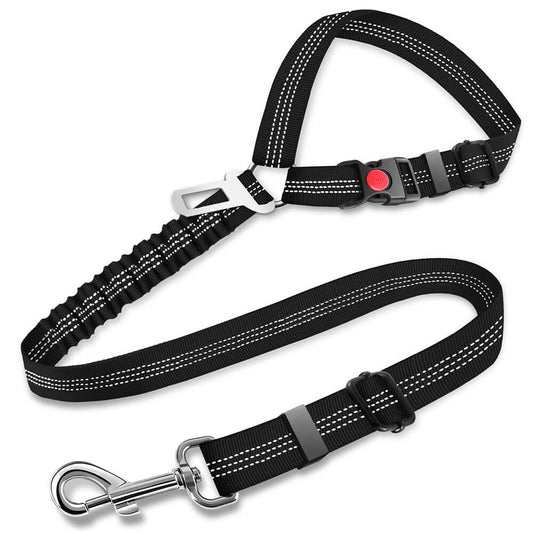 Hondenautogordel Voor Veiligheid En Comfort Tijdens Ritten 0