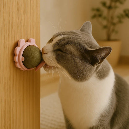 Kattenkruid Snackbal Voor Gelukkige Katten Energiek 1