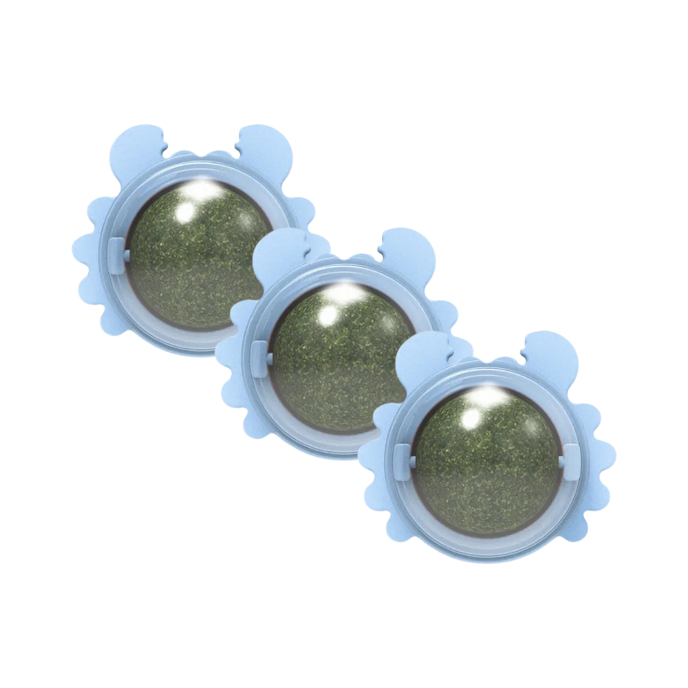 Kattenkruid Snackbal Voor Gelukkige Katten Energiek 4